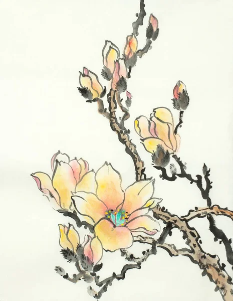 Rama Magnolia Floreciente Sobre Fondo Claro — Foto de Stock