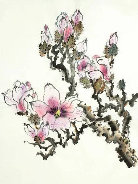 Zweig Der Blühenden Magnolie Auf Hellem Hintergrund — Stockfoto