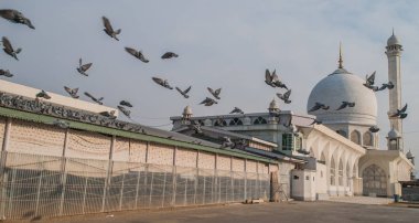 Srinagar, Jammu ve Keşmir, Hindistan Müslüman bir tapınak Hazratbal olduğunu