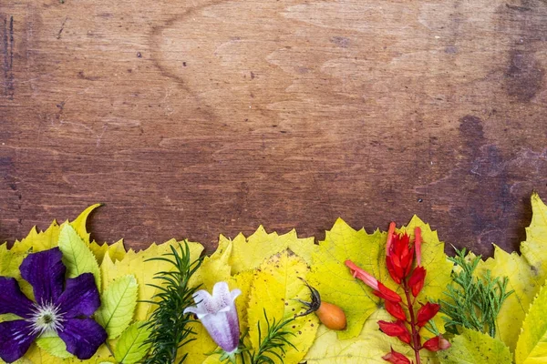 sonbaharda çiçek ve yaprakları ahşap zemin üzerinde