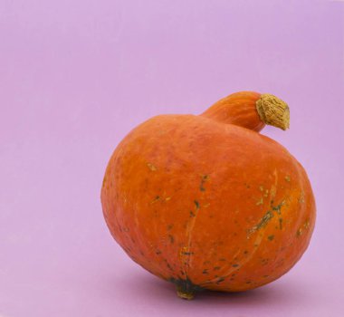 Menekşe arka plan üzerinde parlak kabak