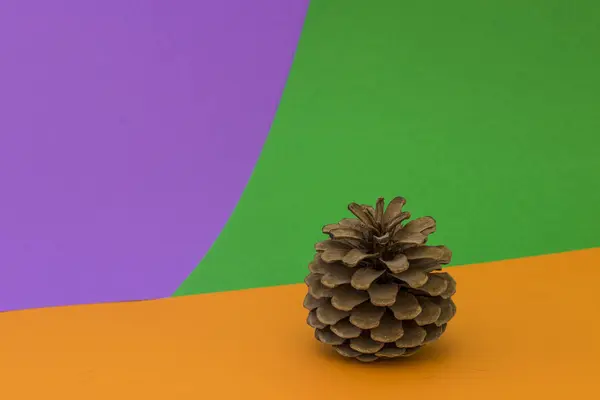 Parlak turuncu yeşil Menekşe arka plan üzerinde kahverengi koni 