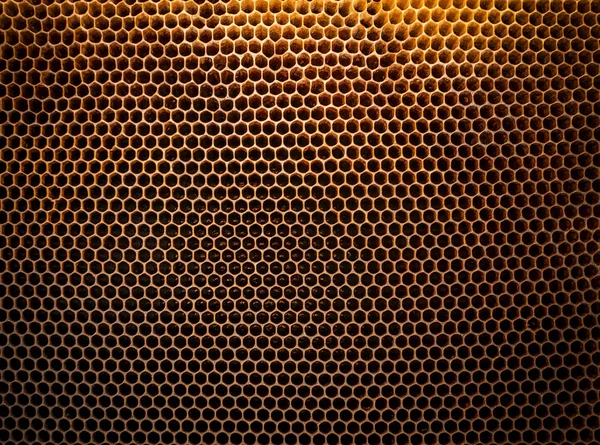 Balmumu bal peteğinin arka plan dokusu ve deseni