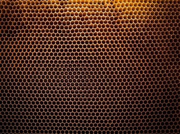 Balmumu bal peteğinin arka plan dokusu ve deseni