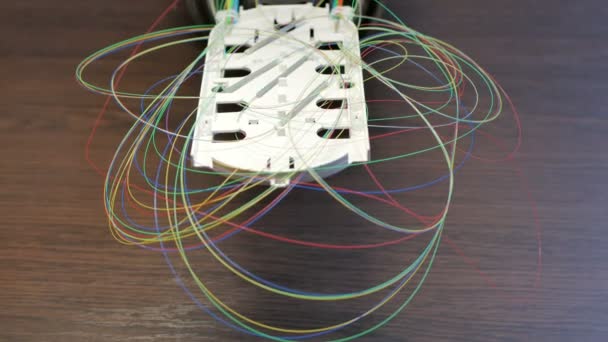 Оптический лоток с цветными волокнами — стоковое видео
