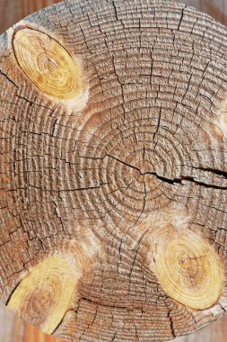 Eski ahşap evin köşesinde.