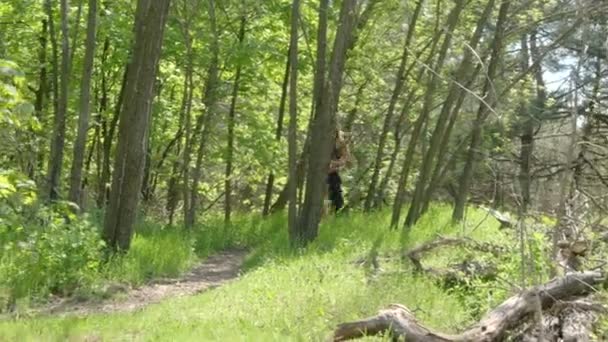 여자는 숲에서 주위를 실행합니다 — 비디오