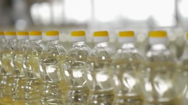 Producción de aceite de girasol en una fábrica — Vídeos de Stock