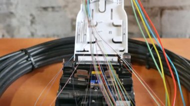 İnternet ve teknoloji