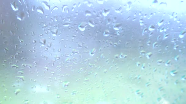 Rain drops on glass — Stock Video