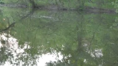 Nehrin üzerinde çekim