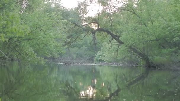 Shooting on the river — Stock Video