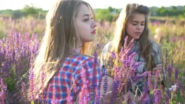 Las niñas están sentadas en el campo con flores lila — Vídeos de Stock