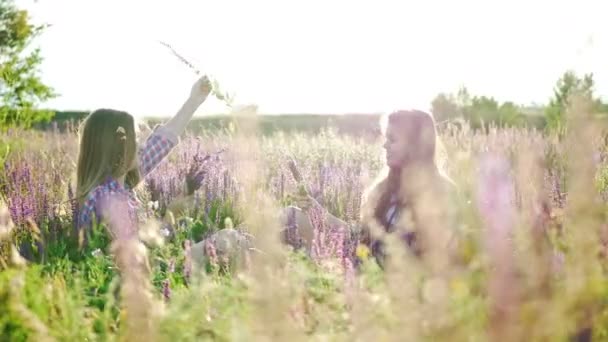 Las niñas están sentadas en el campo con flores lila — Vídeos de Stock