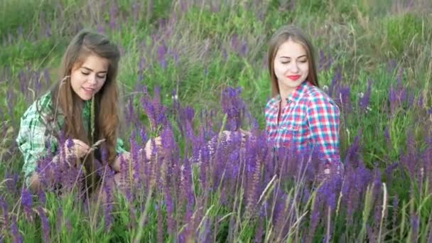 Девушки сидят на поле с лиловыми цветами — стоковое видео