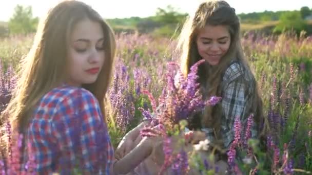 Дівчата сидять на полі з бузковими квітами — стокове відео