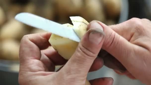 Womens hands clean potatoes — Stock Video