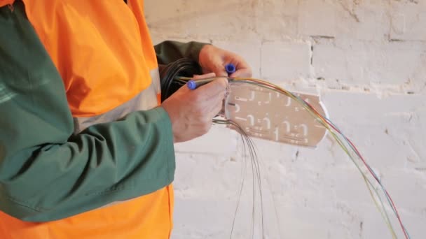 Ingeniero de telecomunicaciones trabajando — Vídeos de Stock