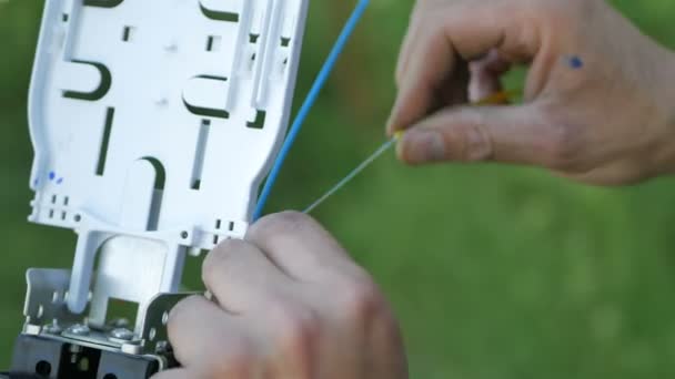 Technicians are installing optic fiber with cable ties. — Stock Video