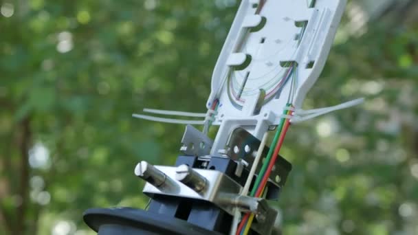 Hálózati mérnök egy szerverszobában optikai kábellel. — Stock videók