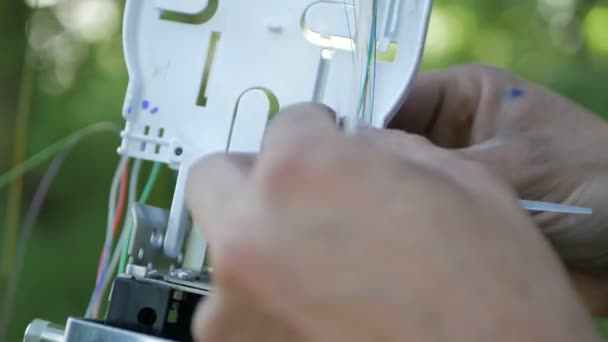 Technicians are installing optic fiber with cable ties. — Stock Footage Technicians are installing optic fiber with cable ties. Video Clip