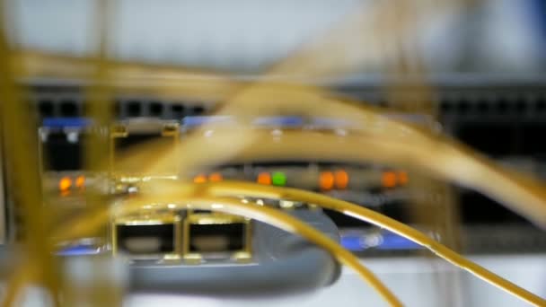 Modern nätverksbrytare med kablar. — Stockvideo