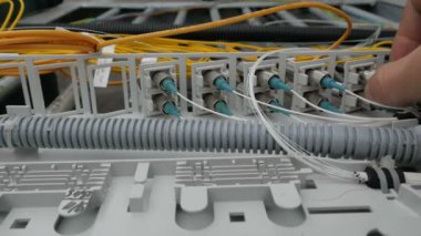 Kablolu Modern Çalışma Veri Merkezi Sunucularının Arkası