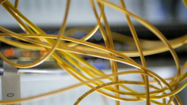 Network engineer in server room works with optical patchcord and optical module. — Stock Video