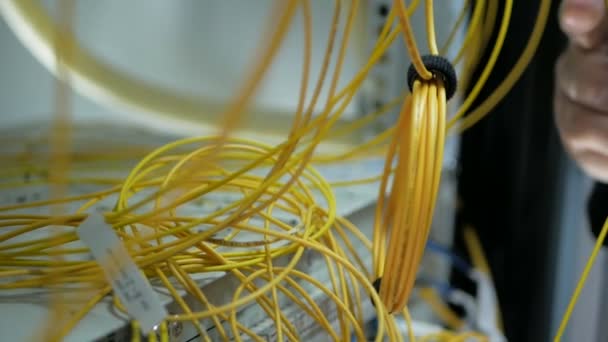 Netwerkingenieur in serverruimte werkt met optische patchcord en optische module. — Stockvideo