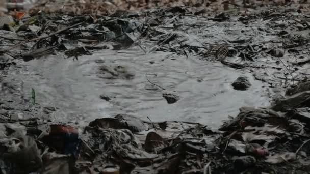 Regentropfen fallen von einer Brücke in eine Schlammpfütze — Stockvideo