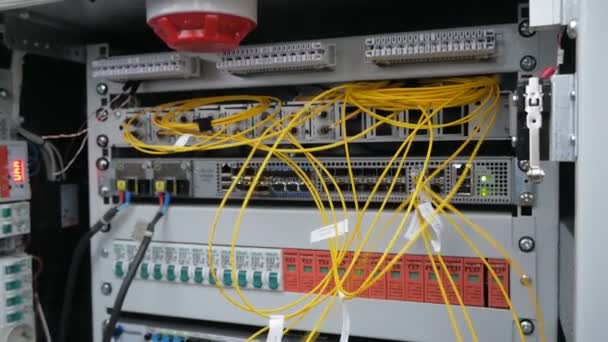 Un ingegnere di rete in una sala server con un cavo ottico . — Video Stock
