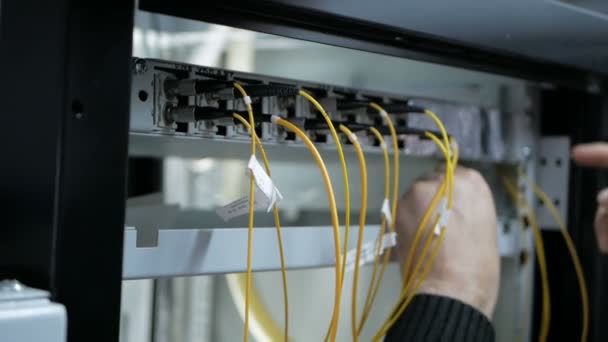 Ingeniero de red en sala de servidores trabaja con cordón óptico y módulo óptico. — Vídeos de Stock