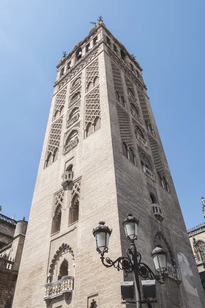 Sapin πύργο Giralda, τον καθεδρικό ναό της Σεβίλλης, — Φωτογραφία Αρχείου