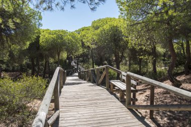 Punta samimiyet beach, Rota, Cadiz, İspanya. Balık tutma weir, Balık weir,