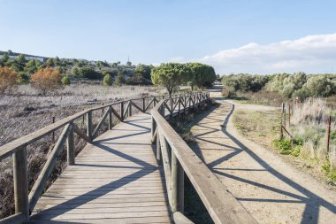 Medina lagoon, Jerez de la Frontera, Cadiz, Spain