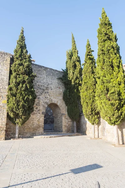 Granada Door, Ubeda, Jaen, Španělsko — Stock fotografie
