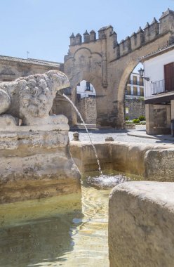 Villalar arc,Jaen gate and Lions fountain, Populo square, Baeza, clipart