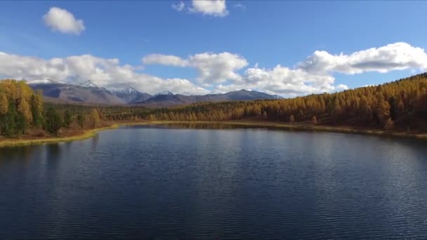 Volando sobre el lago — Vídeos de Stock