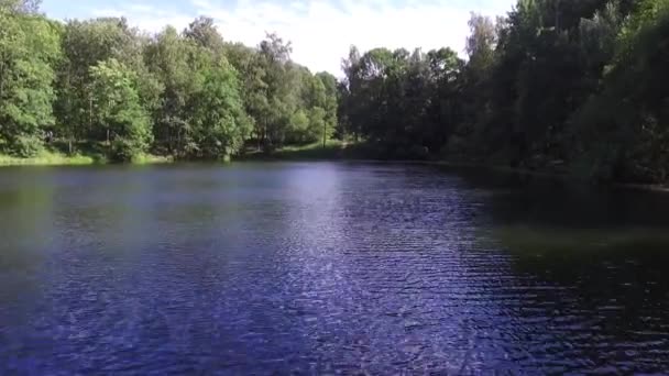 Volando sobre el estanque — Vídeo de stock