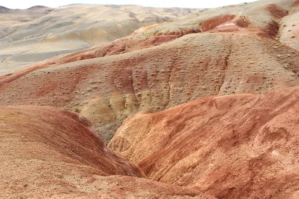 Altay Dağları'nın eteklerinde Güney Sibirya'da Rus Cumhuriyeti