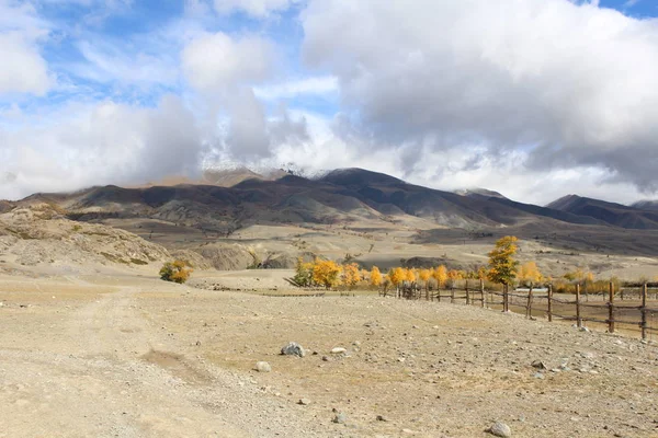 Altay Dağları'nın eteklerinde Güney Sibirya'da Rus Cumhuriyeti
