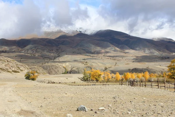 Altay Dağları Nın Eteklerinde Güney Sibirya Rus Cumhuriyeti — Stok fotoğraf