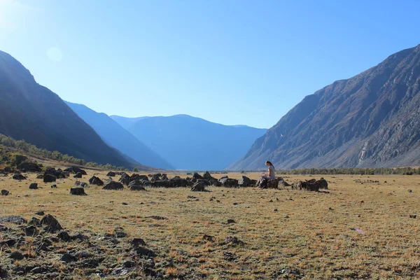 Altay Dağları'nın eteklerinde Güney Sibirya'da Rus Cumhuriyeti