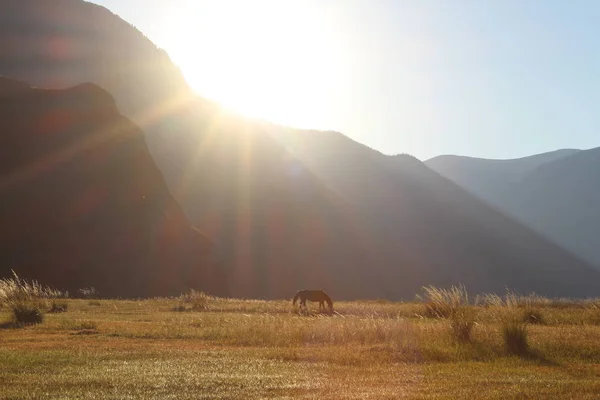 Tramonto sulle colline — Foto Stock