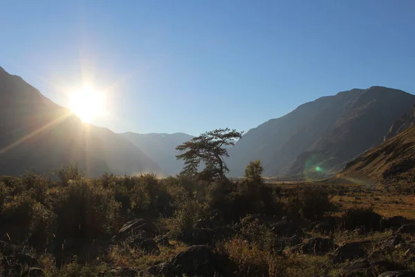 República Rusa Sur Siberia Los Pies Las Montañas Altai —  Fotos de Stock