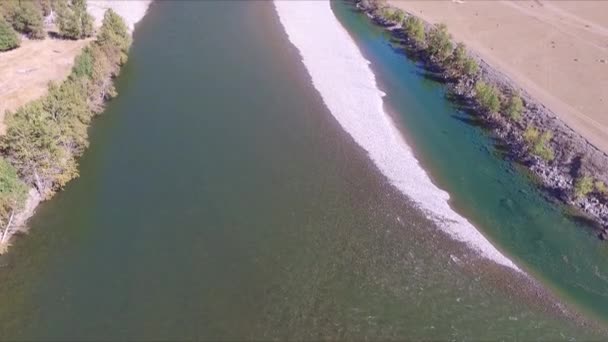 Летающие над рекой на Алтае — стоковое видео