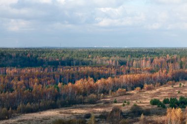 Altın sonbahar manzarası