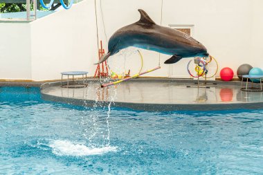 Yunus bir çember atlama