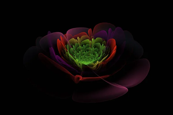 bilgisayar tarafından oluşturulan fraktal resim