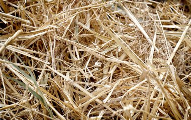 saman doku, arka plan, çiftlik iş